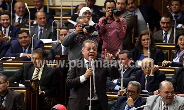 "شرشر": لا يجوز طرح خلافات البرلمان أمام مؤسسات خارجية تبحث ليل نهار عن تشويه مصر