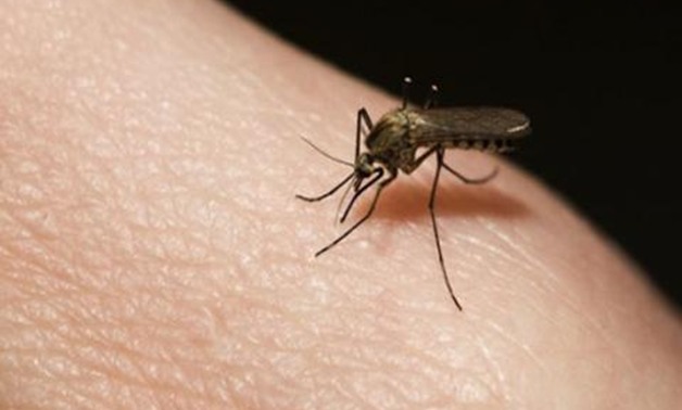 "بحوث الحشرات": المعهد يعانى من نقص الباحثين ونحمى مصر من الأوبئة والأمراض المستجدة