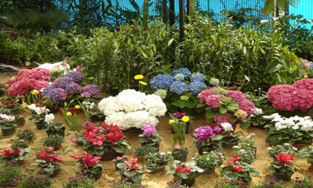 وزير الزراعة يفتتح معرض زهور الربيع بحديقة الأورمان اليوم 