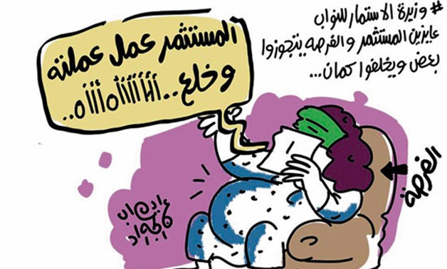 الفرصة حامل من المستثمر.. "برلمانى" ينشر كاريكاتير ساخر عن تصريحات وزيرة الاستثمار