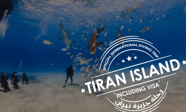 شاهد تفاصيل أول إعلان مصرى عن رحلة لجزيرة "تيران السعودية" بالتأشيرة