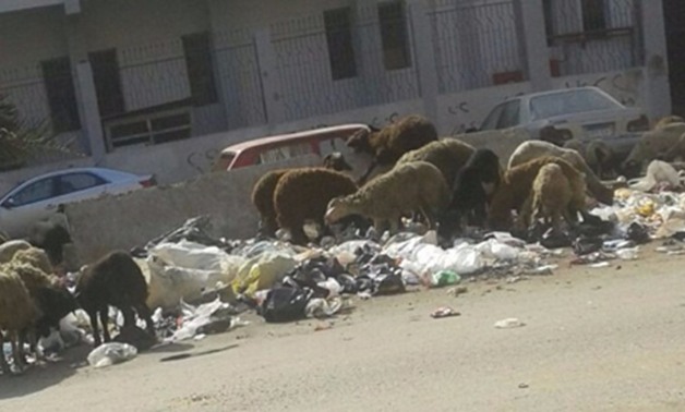 "واتس اب برلمانى" بالصور.. مواطن يستغيث من تراكم القمامة أمام سنترال بولاق الدكرور