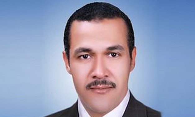 برلماني: الدولة المصرية تدعم ملف الاستثمار والتوسع بالشركات الناشئة