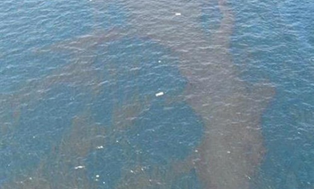 حماية نهر النيل: أسماك الغربية النافقة تخص أقفاصا صدر لها قرار إزالة