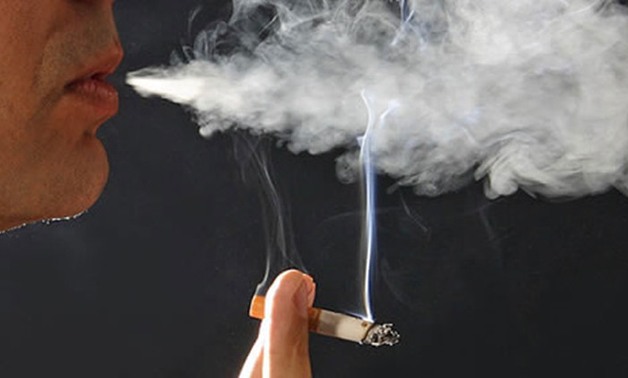 الجهاز المركزى للإحصاء: 19.6 % من عدد سكان مصر مدخنون 