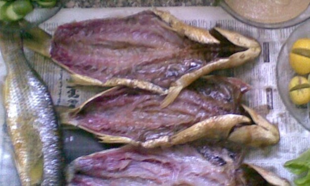 محافظ دمياط: ضبط 90 كيلو فسيخ وأسماك غير صالحة برأس البر