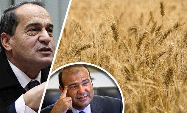 أزمة القمح على مائدة "الزراعة"
