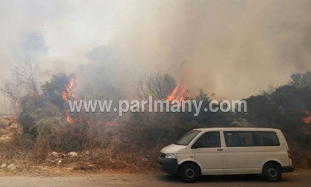 بالصور.. الغابات الإسرائيلية تحترق بسبب موجة الحر الشديدة