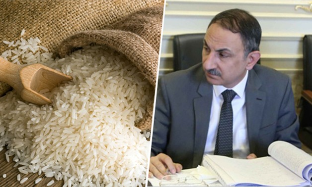 مجدى ملك: مناقشة طلبات إحاطة النواب حول منع زراعة الأرز بالوادى الأحد المقبل 