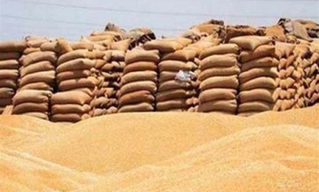 رئيس البنك الزراعى: سوقنا محصول القمح بقيمة 3 مليار جنيه لصالح السلع التموينية