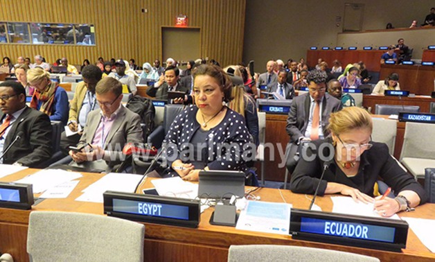 هبة هجرس تطالب دول العالم بإدماج المرأة ذات الإعاقة فى خطط التنمية المستدامة 2030