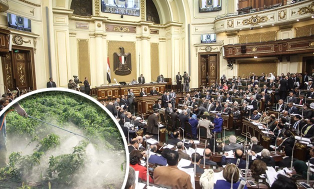 "واتس اب برلمانى".. مواطن يطالب البرلمان بمنع دخول المبيدات المسرطنة والأدوية المغشوشة