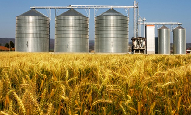 مطالب برلمانية لـ"السلع التموينية" بزيادة تخزين القمح وإنشاء صوامع جديدة