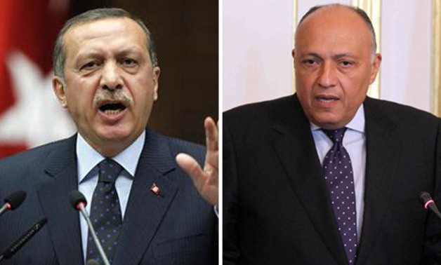 الخارجية ردا على أردوغان: مصر تتحفظ على القيادة التركية وسياستها المتخبطة