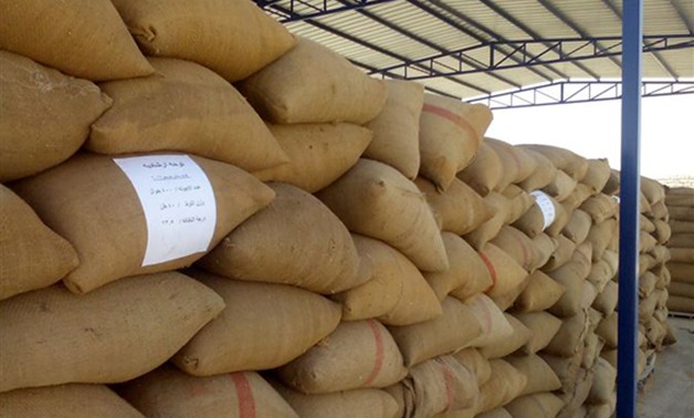 بعد رفع القيود.. وزير التجارة الروسى: سنورد القمح لمصر والشحن آخر أكتوبر