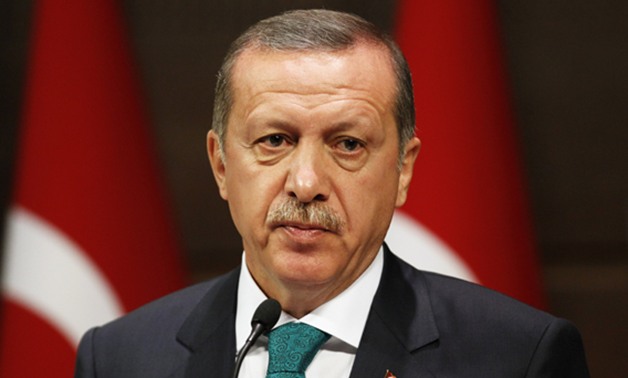 صفعة على وجه أردوغان.. برلمانيون ألمان من أصول تركية يدعون لرفض تعديلات الدستور بتركيا