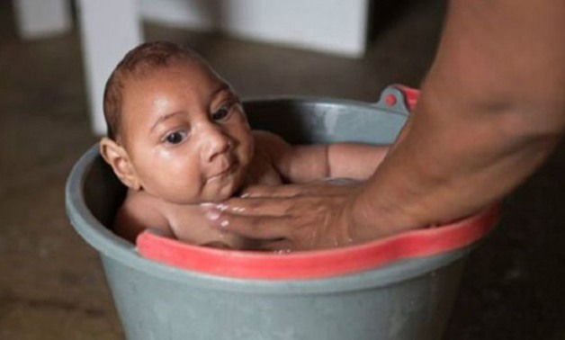 قبل أسبوعين من الأولمبياد.. زيكا يقتل 139 طفلا فى البرازيل.. و1.5 مليون مصابون بالمرض