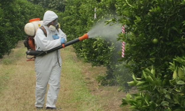 الحكومة تعلن الحرب على الغشاشين.. "الزراعة": حملات تفتيشية على أسوق المبيدات
