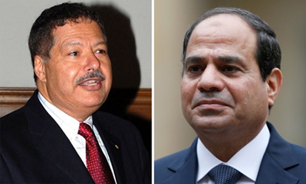 الرئيس السيسى يدعو إلى التبرع لصندوق تحيا مصر لاستكمال مشروع جامعة زويل