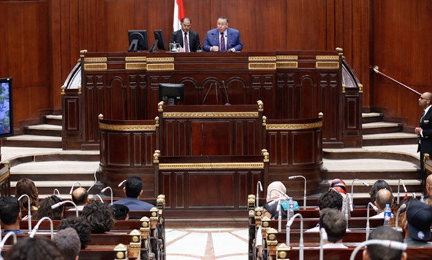 وكيل البرلمان للمصريين بالخارج: أنتم سفراء لنا وعليكم تصحيح الصورة الخاطئة عن مصر