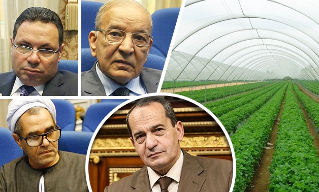 مصر تتجه لـ"الصوب الزراعية"