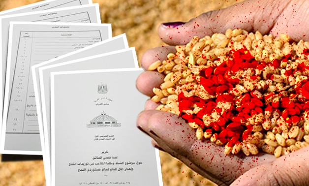 حصرى.. "برلمانى" ينفرد بنشر التقرير النهائى لفساد توريدات القمح ومافيا إهدار المال العام