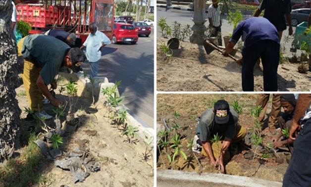 "واتس اب برلمانى".. شاهد صور تطوير حى شرق الإسكندرية بنافورة و350 نبتة ورفع المخلفات