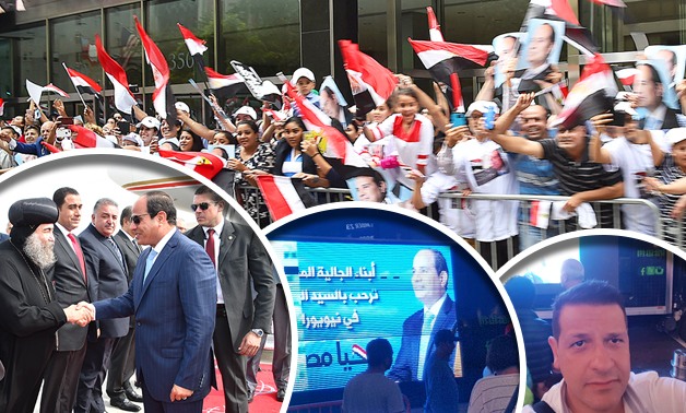 أشغال شاقة برلمانية لدعم مصر بنيويورك