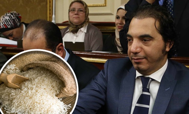 عمرو الجوهرى يطالب بالضغط على محتكرى الأرز..ويؤكد: "الاستيراد مش الحل"