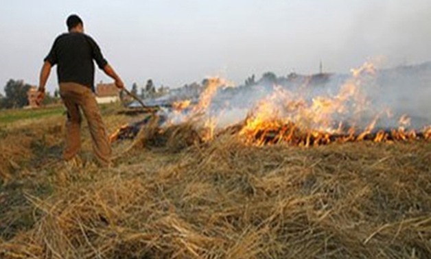 "البيئة": السيطرة على حريق ب30 فدانا للمخلفات الزراعية بدمنهور