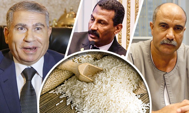 الأرز المستورد "تقيل على معدة البرلمان"