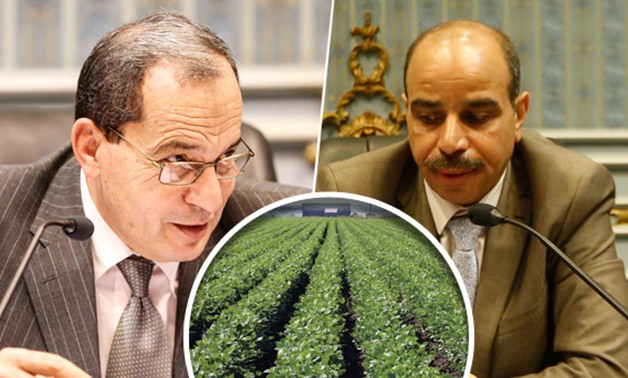 هشام الشعينى: إنشاء مجموعة وزارية زراعية بداية حقيقية للنهوض بالقطاع الزراعى