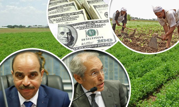 أسعار المحاصيل تحت رحمة الدولار 