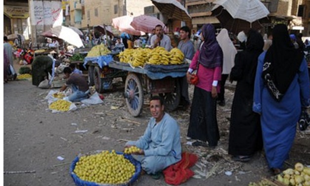 محافظة الجيزة تستعد لافتتاح سوق الباعة الجائلين بـ"الكونيسة" 