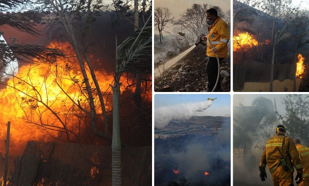بالصور.. حرائق هائلة فى إسرائيل وفرق الإطفاء تفشل فى إخمادها
