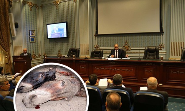 لجنة الزراعة بالبرلمان تناقش ظاهرة انتشار لحوم الحمير فى اجتماع اليوم
