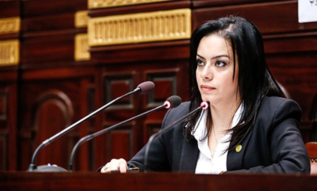 النائبة سيلفيا نبيل: استخدام الحكومة موازنة "البرامج والآداء" يساعد فى متابعتها