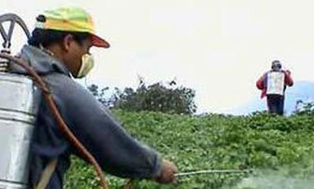 "الزراعة": برنامج الاستخدام الآمن للمبيدات يوفر 50 ألف فرصة عمل