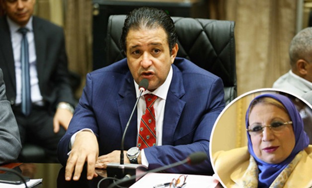 "المصريين الأحرار" يعلن تضامنه مع إيناس عبد الحليم فى أزمتها ضد رئيس جامعة المنصورة