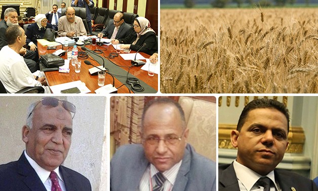 البرلمان قلقان على محصول القمح