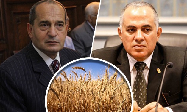 وزارة الزراعة تعلن حرب تصريحات على "الرى": حديثكم عن زراعة القمح مرتين فى العام "شو إعلامى"