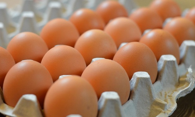 لمواجهة الغلاء.. "الإصلاح الزراعى" تطرح 400 ألف بيضة بـ32 جنيهًا للكرتونة