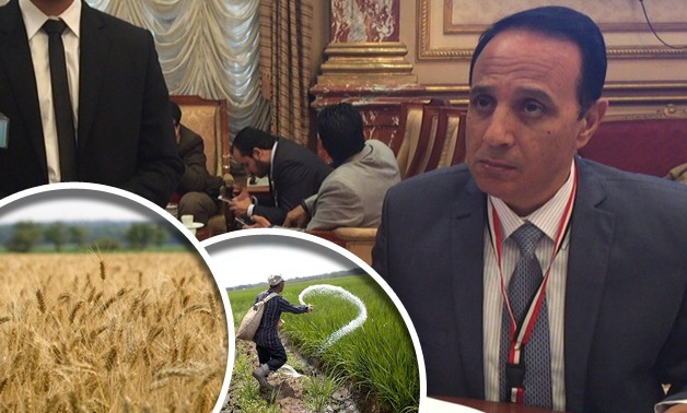 نائب المصريين الأحرار يكشف عن كارثة.. ويحذر: نقص الأسمدة يهدد إنتاجية القمح