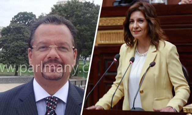 نائب "المصريين بالخارج": تمنيت أن يشمل التعديل الوزارى السفيرة نبيلة مكرم