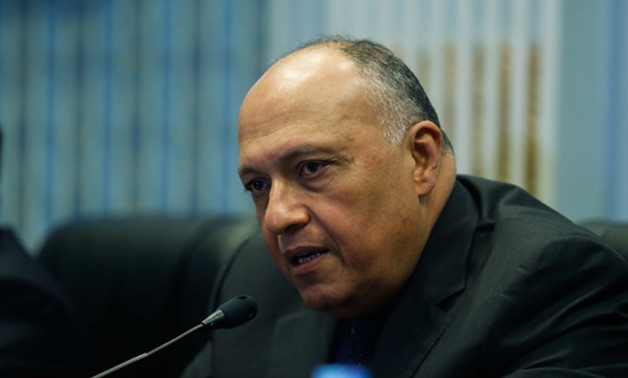 وزير الخارجية: منهج مصر دائما لا يشجع الحلول العسكرية للصراعات بالمنطقة