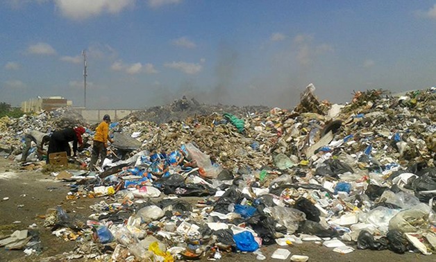 القمامة تحاصر قرية نيكلا بالبحيرة.. والحناوى: طالبنا رئيس مجلس المدينة منذ 3 أشهر لكن لا جديد