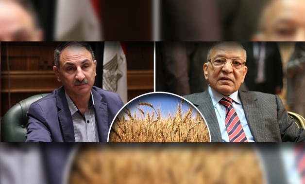 زراعة البرلمان: الحكومة بتلعب بالنار فى تسعير القمح