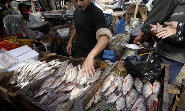 "تموين دمياط": طرح الأسماك الطازجة بأسعار مخفضة بشوارع المحافظة