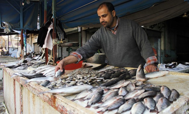 نقل سوق السمك فى المقدمة.. نائب عن الإسماعيلية يناقش مخطط تطوير عشوائيات المحافظة