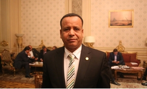 محمود الضبع عضو مجلس النواب عن قائمة "فى حب مصر"